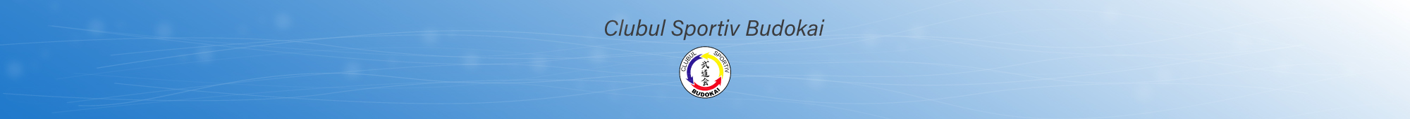 Clubul Sportiv Budokai